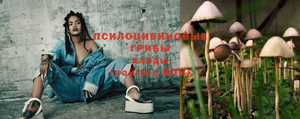 СК Мегион