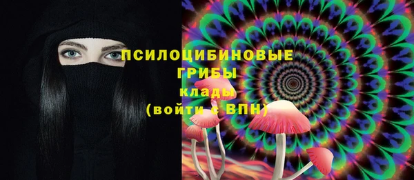 СК Мегион
