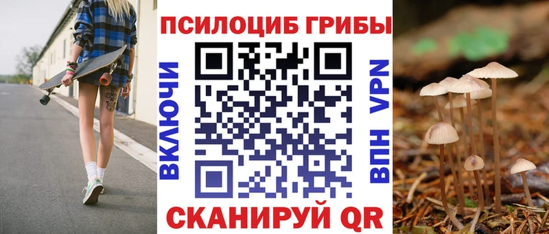 Галлюциногенные грибы Psilocybe  Купить закладки  Ардон 